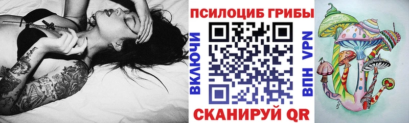 продажа наркотиков  MEGA   Галлюциногенные грибы мицелий  Топки 